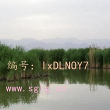 Ŀ