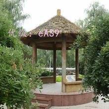 ǰ