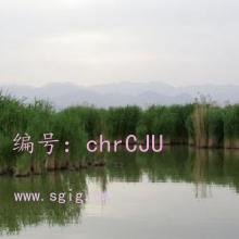 û