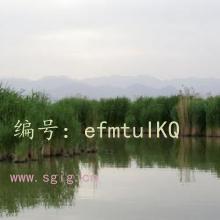 Ŀ