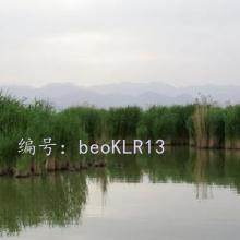 ƫ