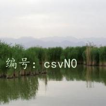 û