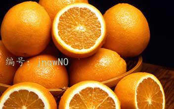 ģ