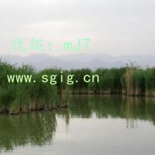 ĩ