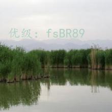 Ŀ