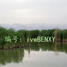 Ŀ