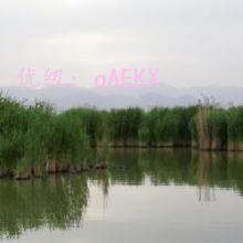 ƫ