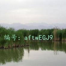 û