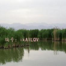 Ŀ