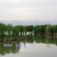 Ŀ