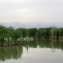 ѧϰ