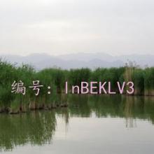 Բ
