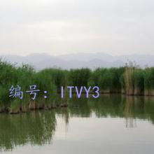 Ŀ