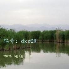 ź
