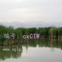ҵ