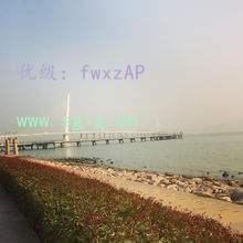 ̬