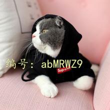 û