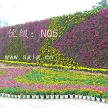 벻