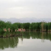 Ŀ