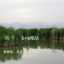 Ŀ