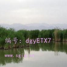 ź