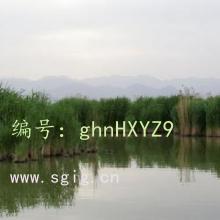 Ŀ