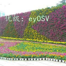 벻