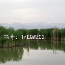 ź