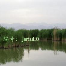 Ŀ
