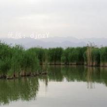ź