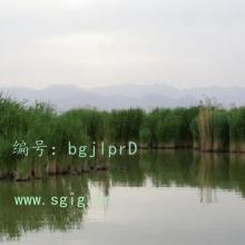 Ŀ