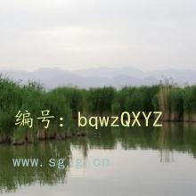 Ŀ