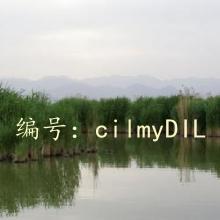 ҵ