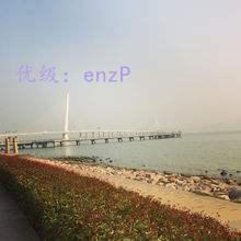 ׶