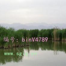 ҵ