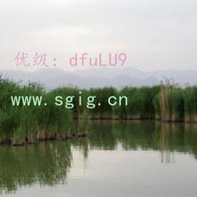 Ŀ