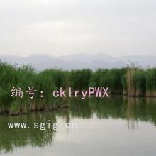 ź