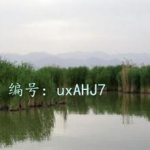 ź